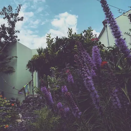 Apartamento Mirjana *