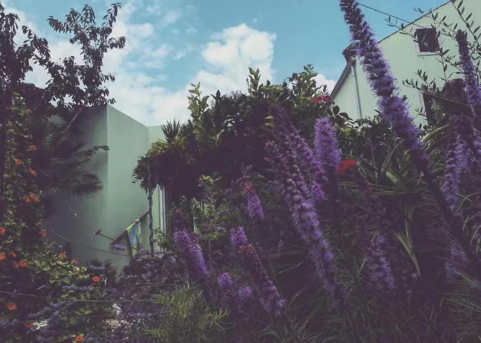 Apartamento Mirjana *