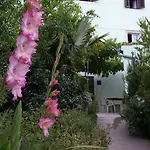 公寓 Mirjana 内里吉恩